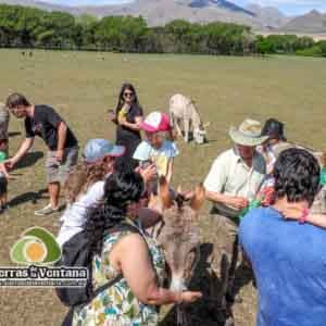 Estancia Mahuida Co