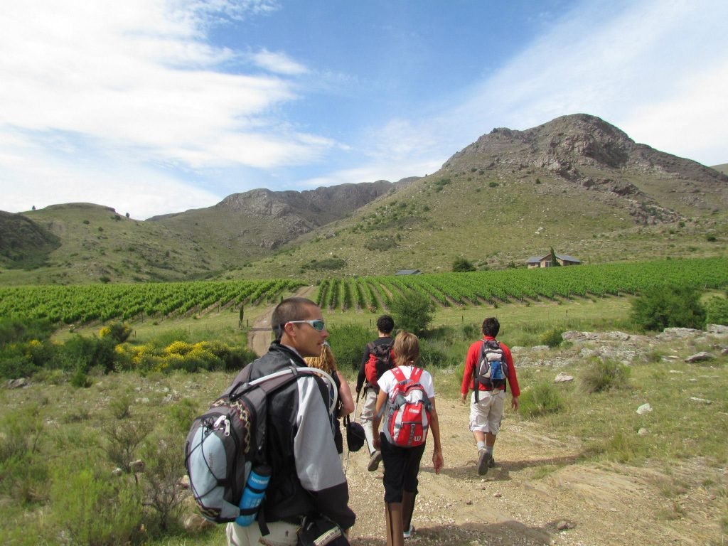 Viñedos Cerro Colorado Villa Ventana