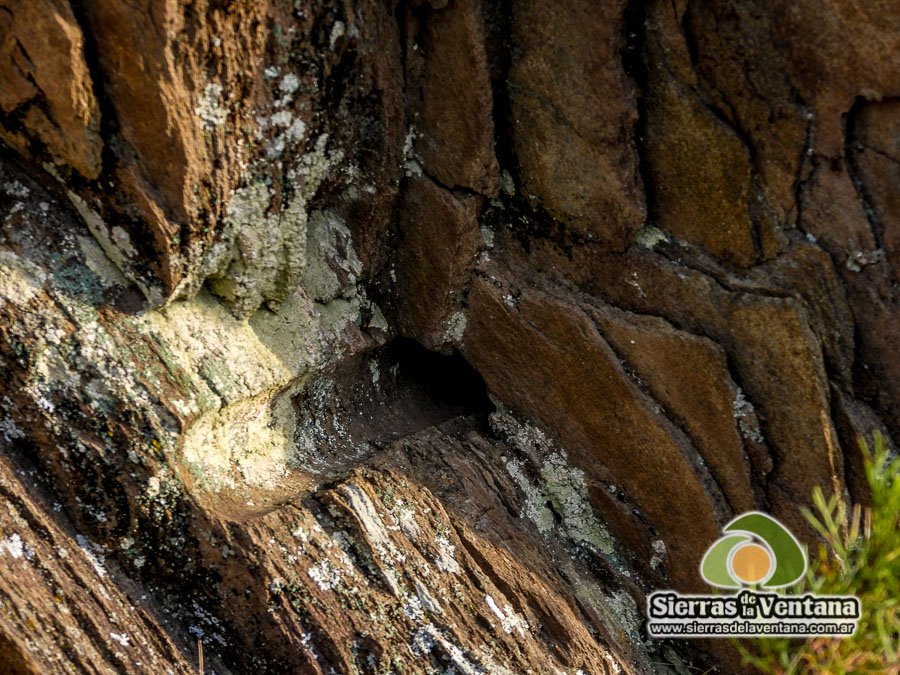 la trochita de sierra de la ventana