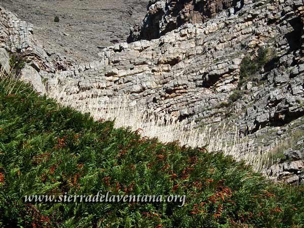 En las entrañas de las Sierras de la Ventana