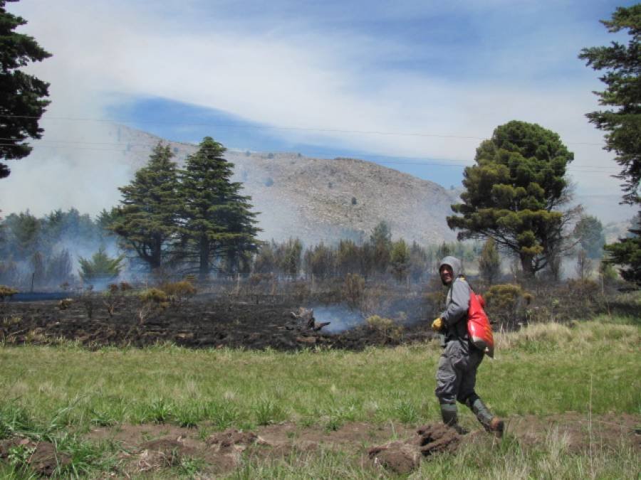 Incendio en el Parque Tornquist