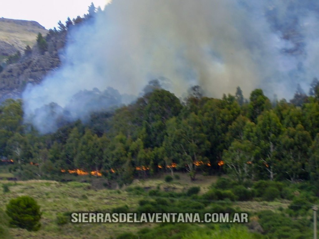 Incendio 2007 Sierra de la Ventana